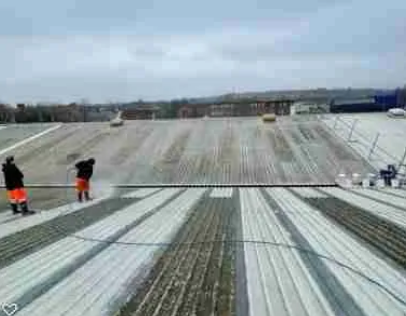 Roof Cleaning Services