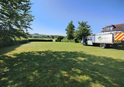 Sectioned Tree Removal