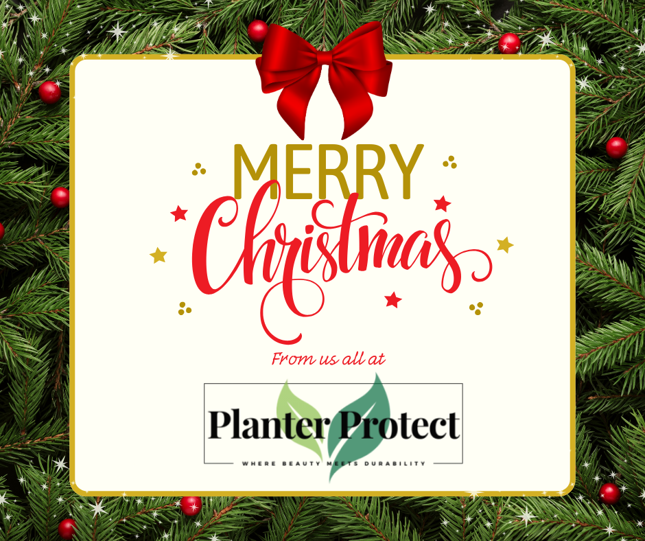 A Festive Christmas Thank You for 2025