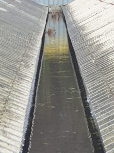 Local Rain Gutter Repair Experts You Can Trust