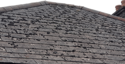 Asbestos Roof Services