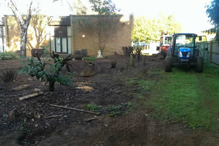 Commercial Clearance