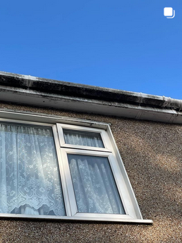 Gutter Cleaning Services