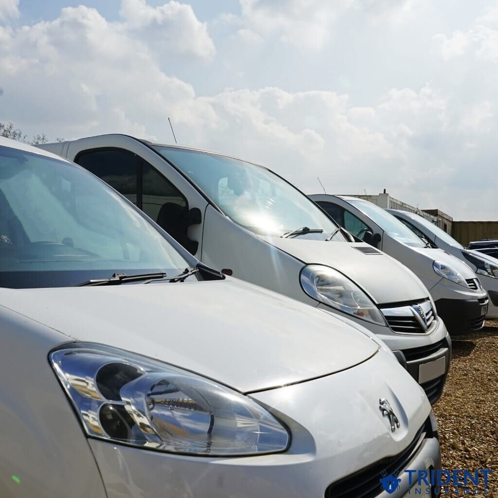 Competitive Fleet Insurance