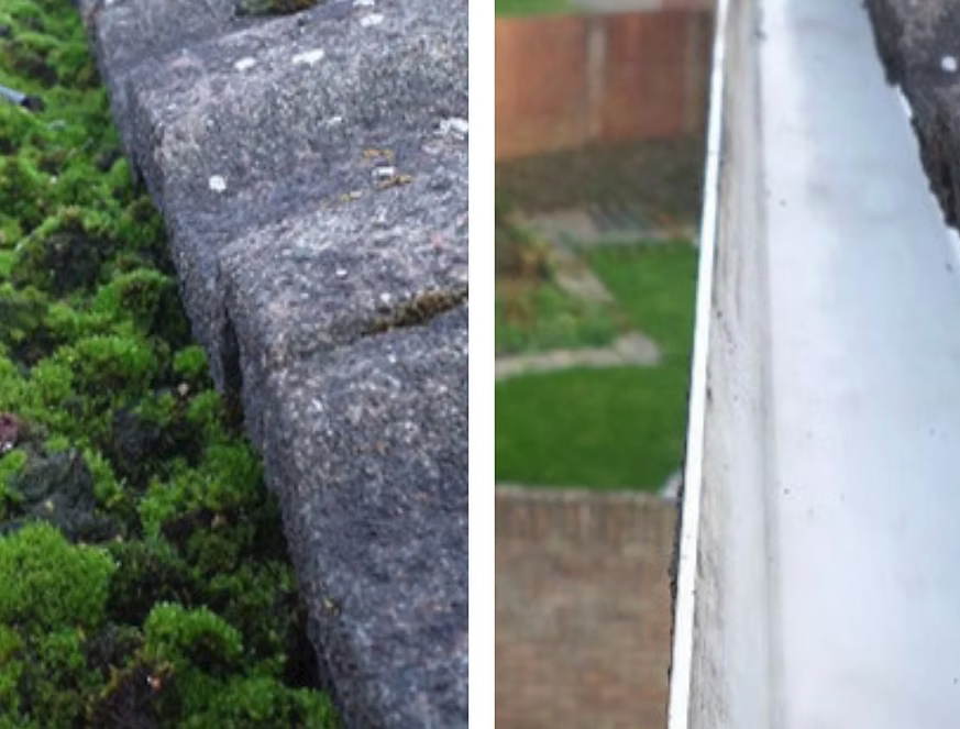 Professional Gutter Cleaning & Maintenance Services
