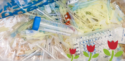 Pharmaceutical Waste Management in Lincolnshire