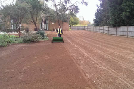 Seeding