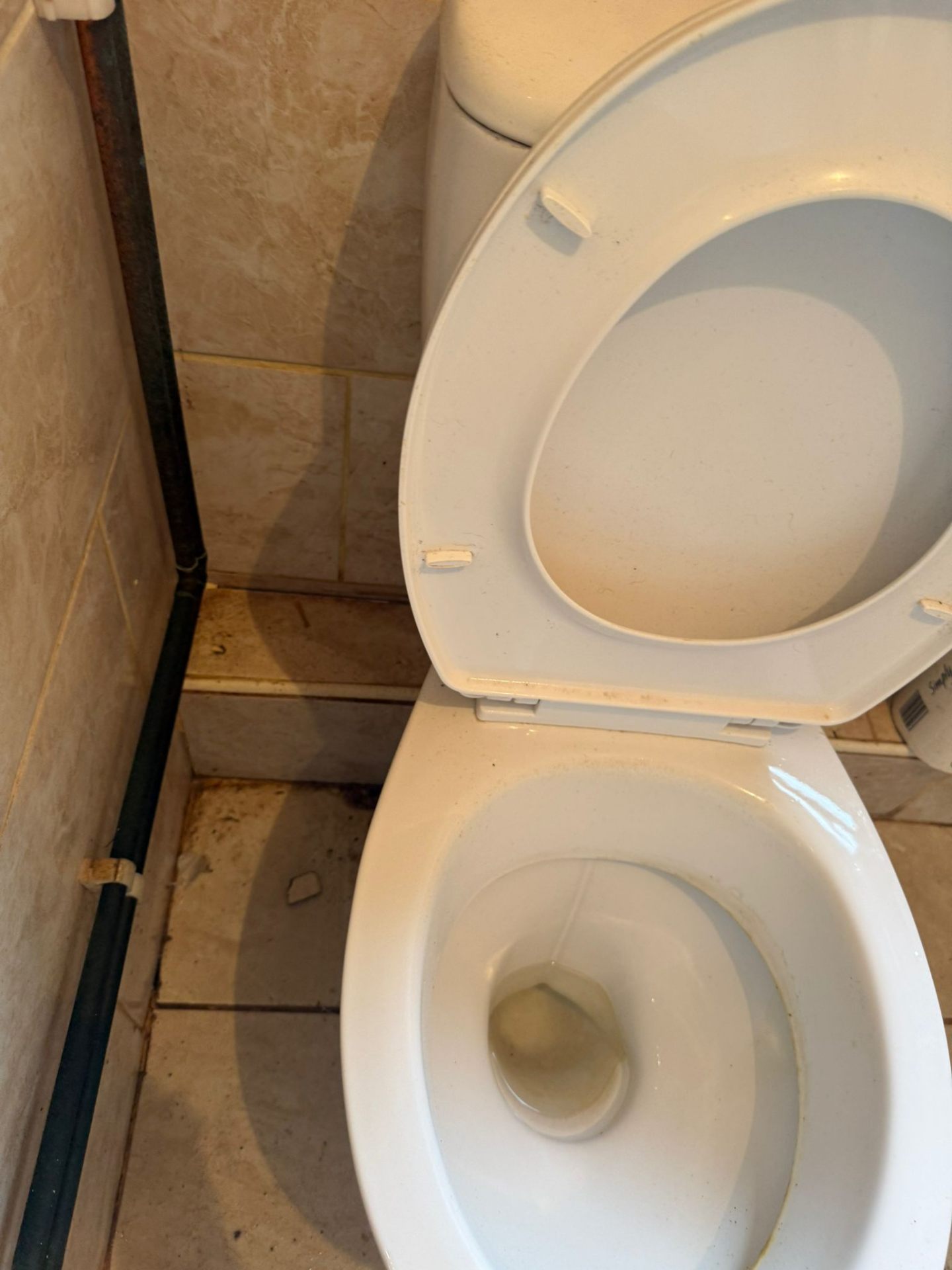 Bi Weekly Cleaning Services