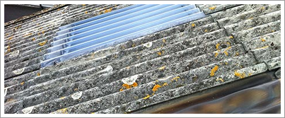 Roofing & Cladding - Repair & Maintenance in Folkestone