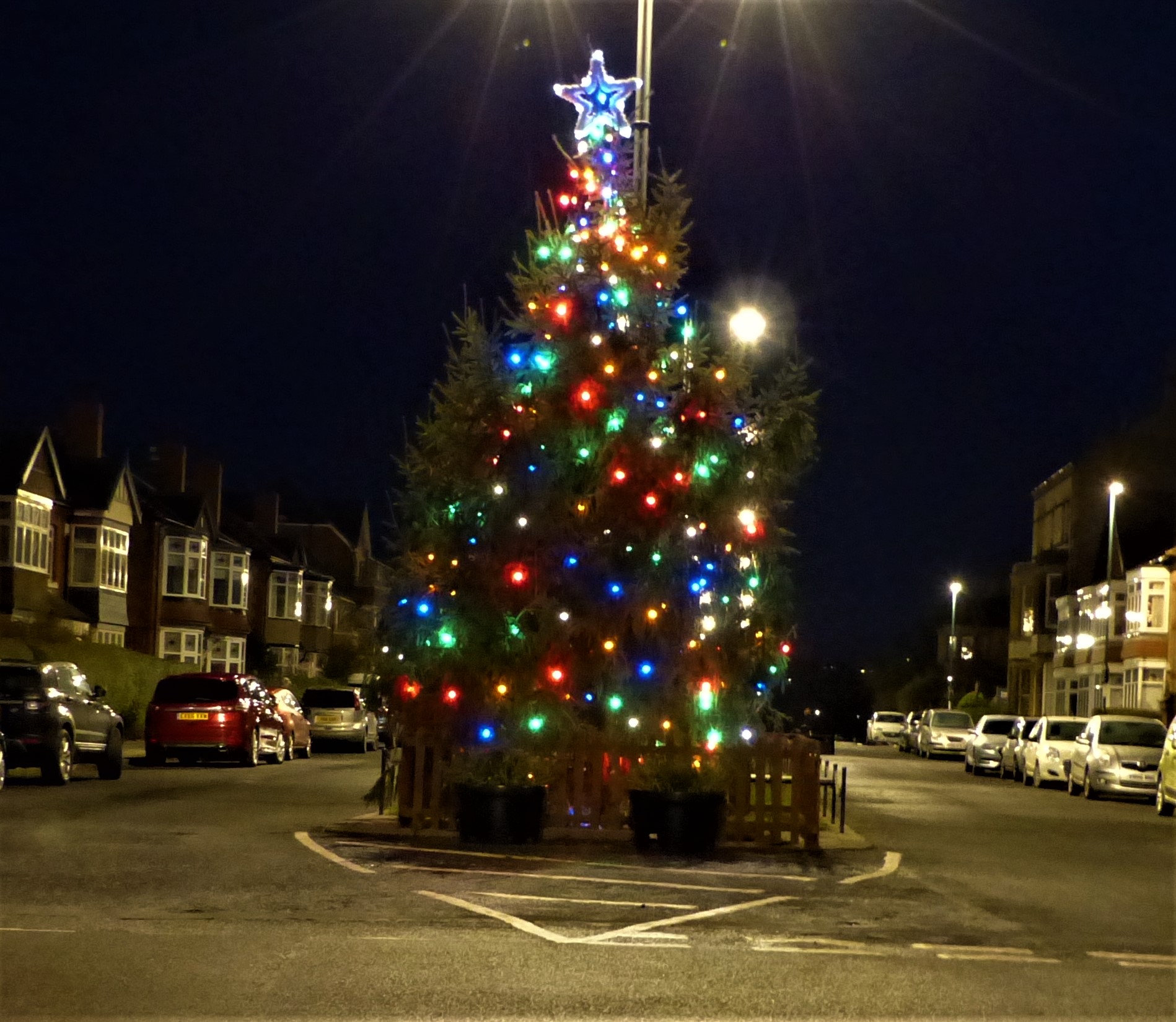 Christmas Tree Lighting