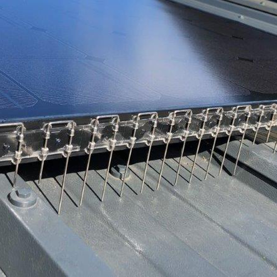 Bird Proofing Solutions in Worcester
