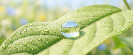 Eco-Friendly Commercial Cleaning & Environmental Hygiene Services