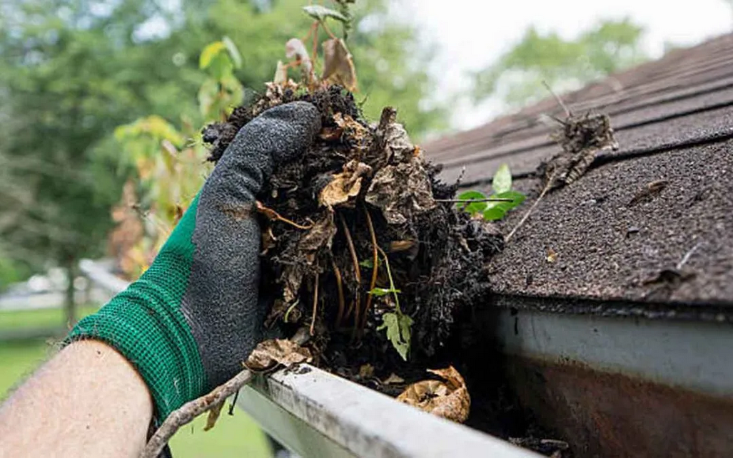 Gutter Cleaning Services