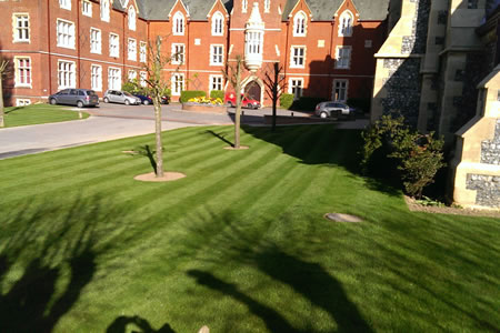 Commercial Turfing After