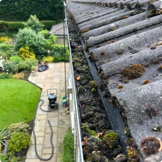Gutter Cleaning Services