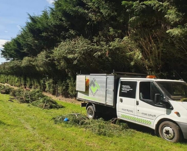 Winch-Assisted Tree Felling
