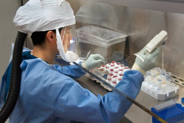 Cell Bank Establishment & Testing for Biologics, Bioassays & Cell & Gene Therapies