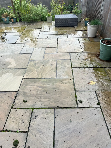 Patio Cleaning