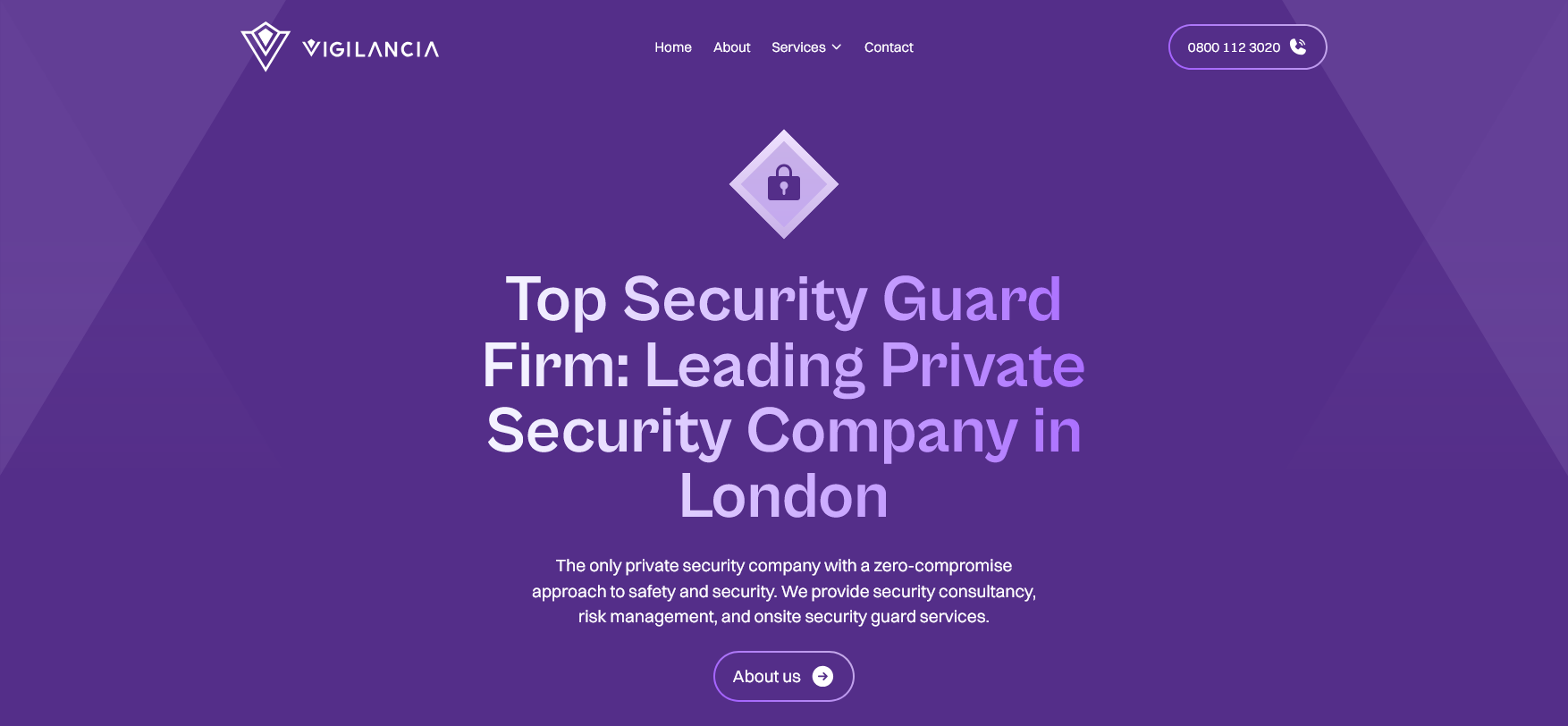 Vigilancia Website Screenshot 001