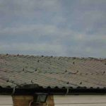 London Asbestos Experts - Asbestos Surveys & Advice Ltd