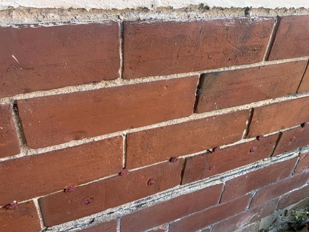Case Study: Damp & Timber Survey