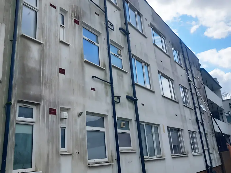 Eco-Friendly Cleaning Solutions