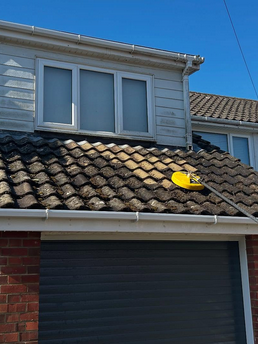 Exterior Surface Cleaning