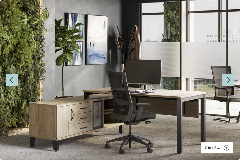Desks - Executive Desk - Porta