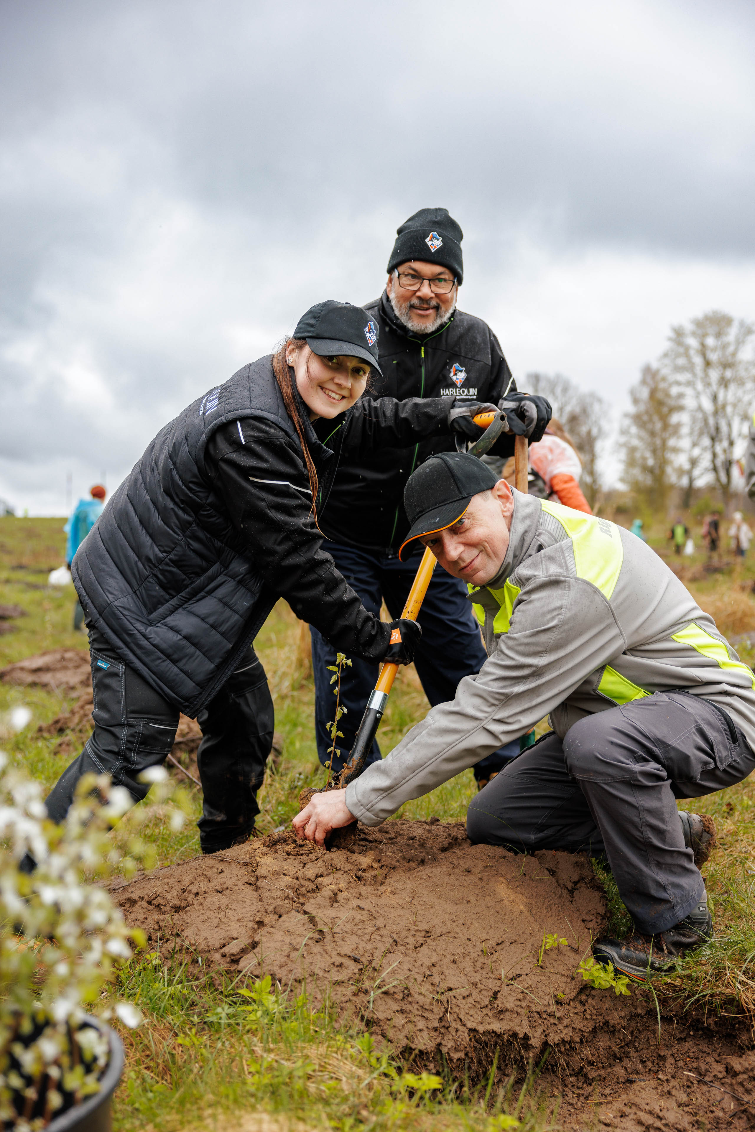 Harlequin’s Commitment to Sustainability and Environmental Responsibility