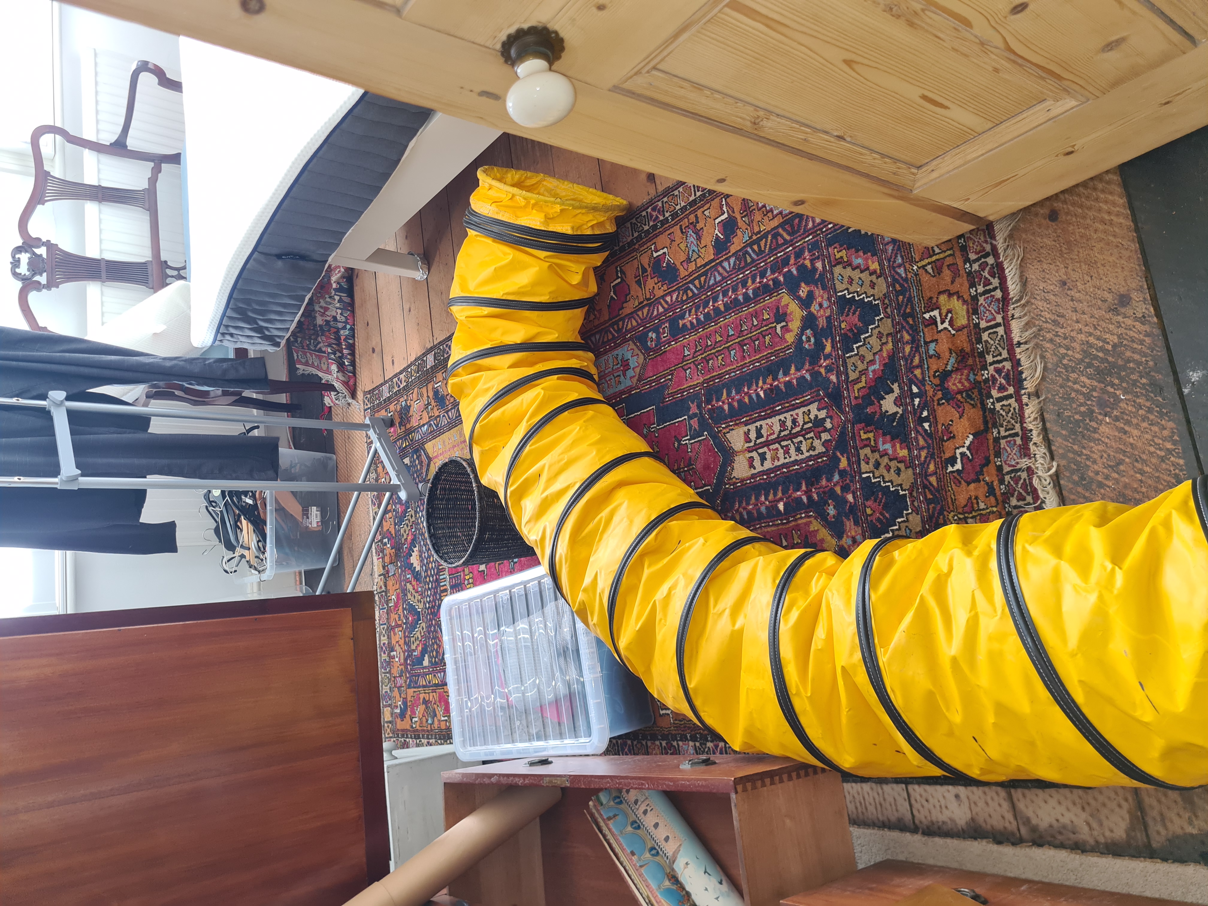 bed bug heat treatment specialist