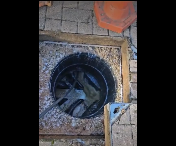 Bourne Drainage Services