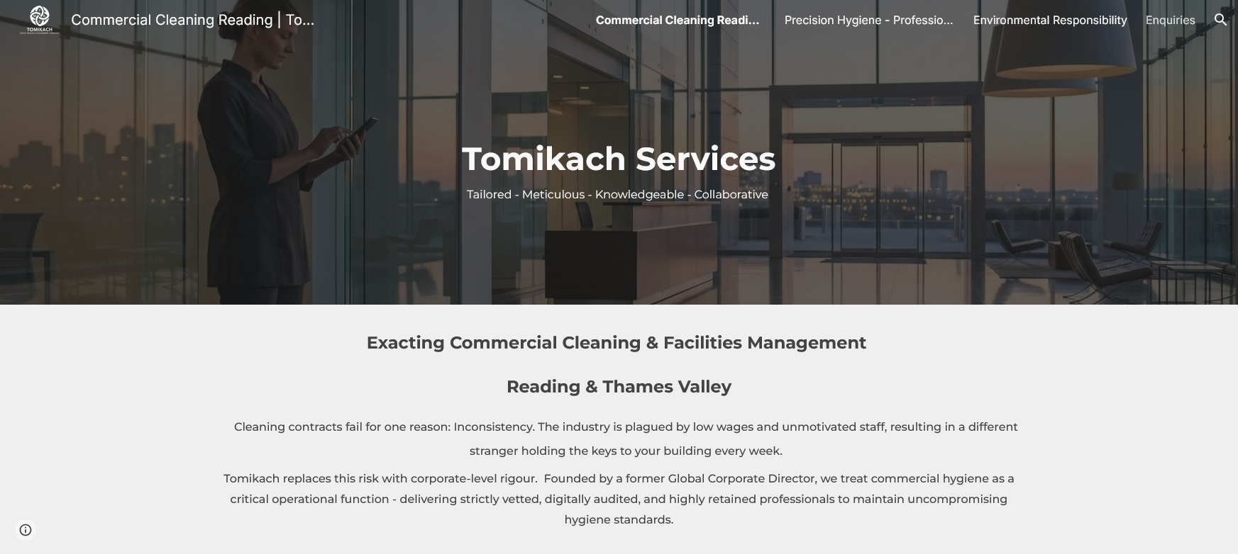 Tomikach Services Ltd Website Screenshot 001