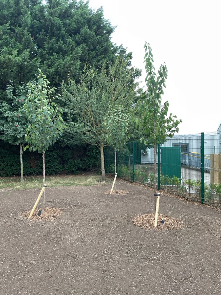 Enhancing the Grounds at Thomas Clarkson Academy