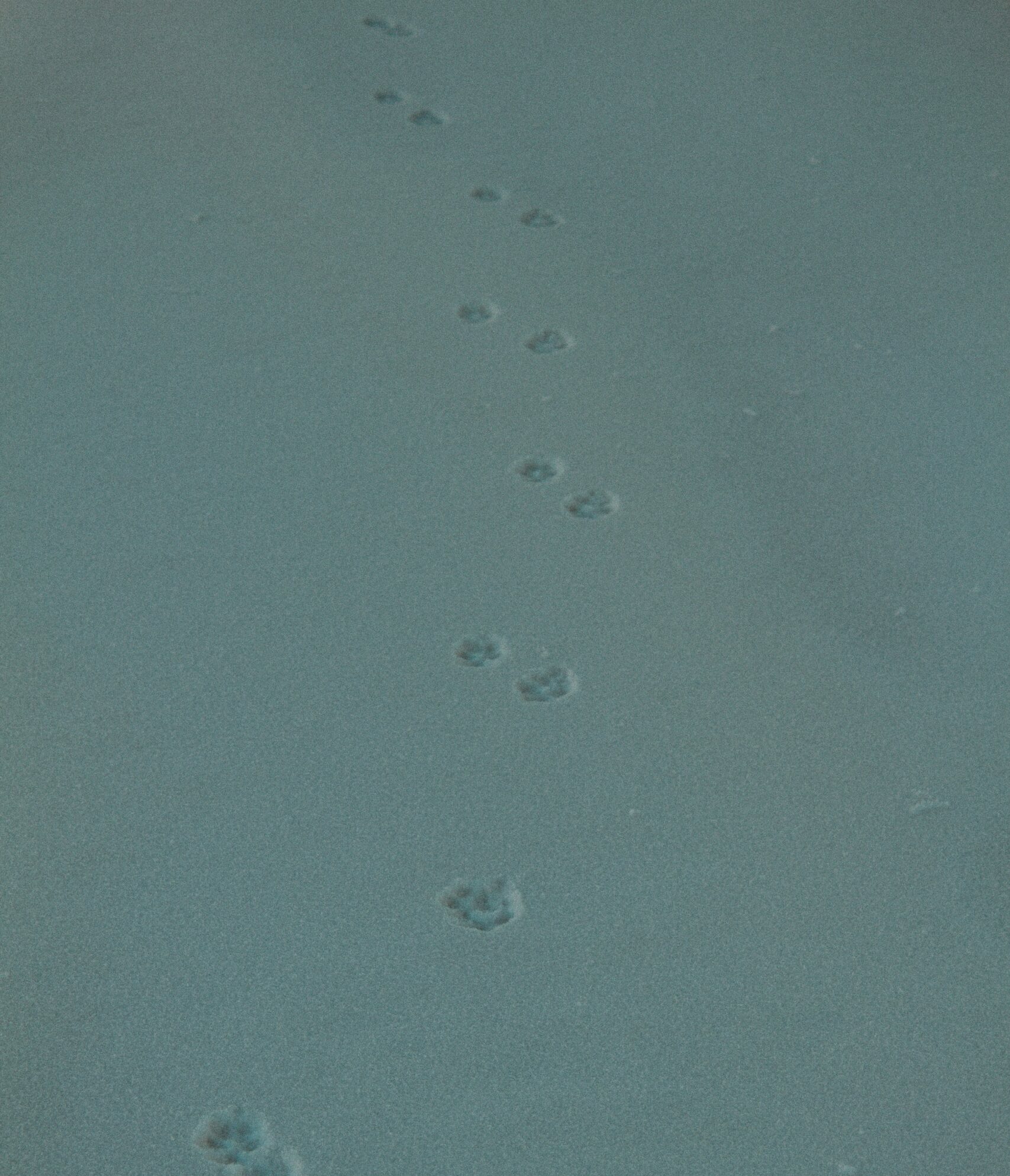 SBS IT Ltd 6-Step Process