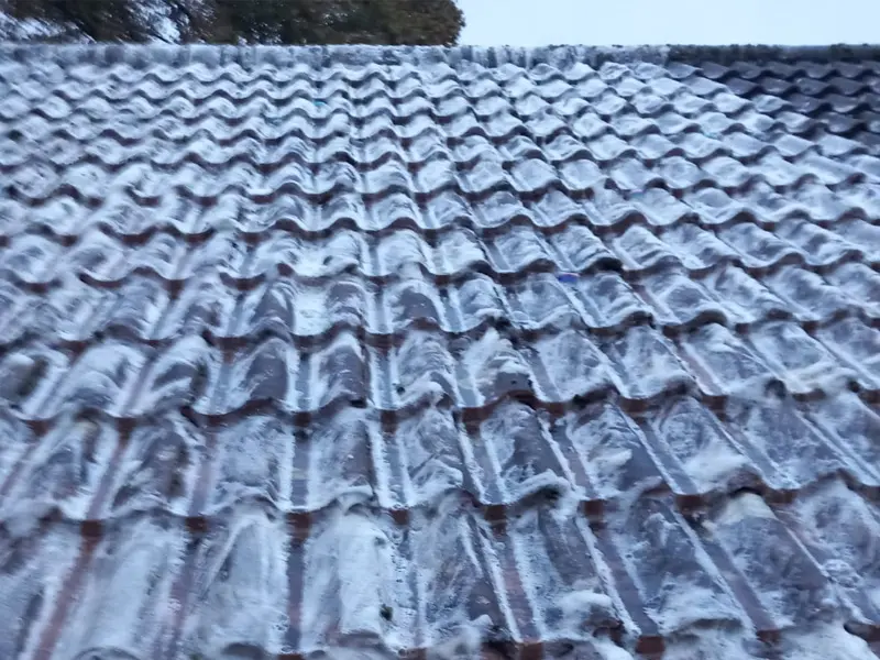 Cambridgeshire Property Maintenance