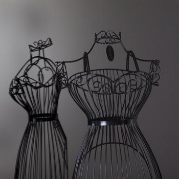 Tinted Glass Gym Mirrors