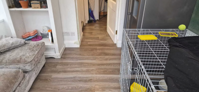Flooring Installation Services