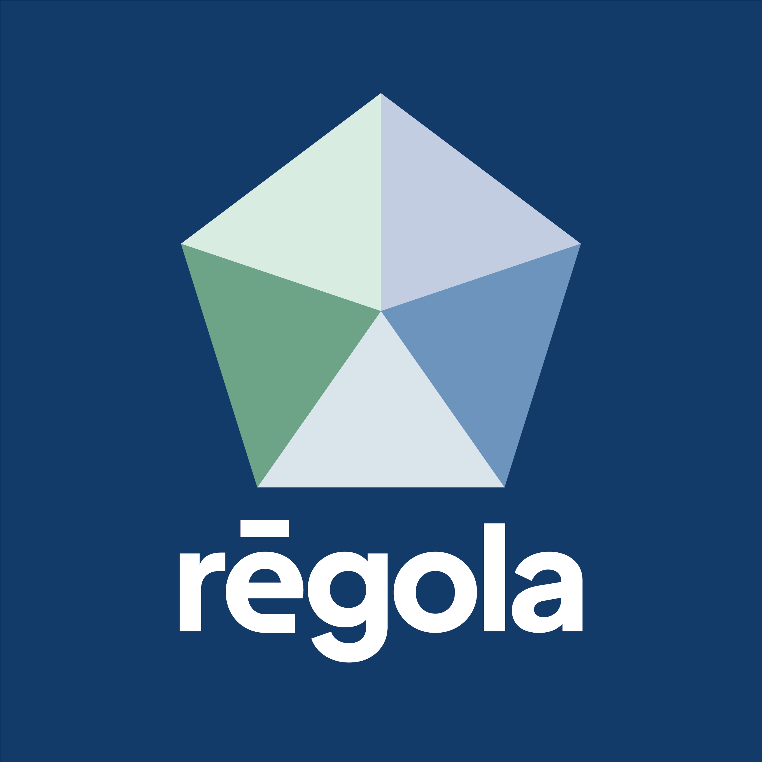 Regola Logo. Pentagon: five controls