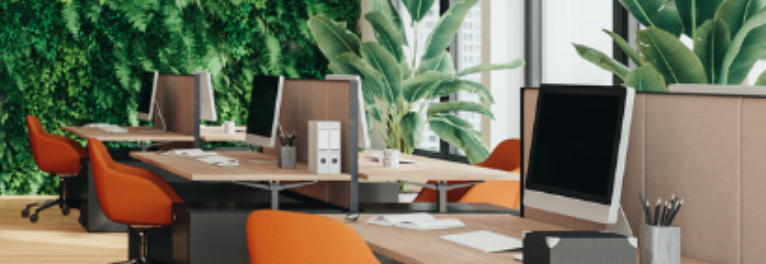 Large Office Refurbishment