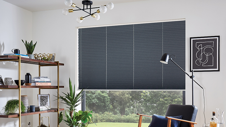 Pleated Blinds