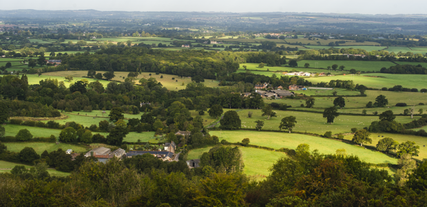 Guaranteed Business Bandwidth