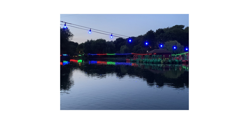 Need inspiration for your lighting project? Check out our new images!