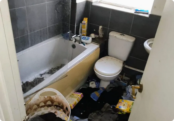 After Builders Cleans