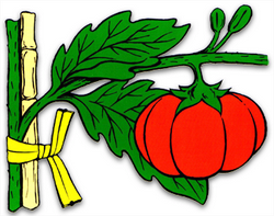 TIE-FIX for Vineyards & Orchards