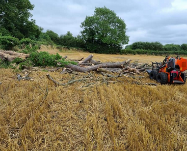 Tree Felling Services