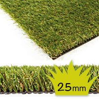 Artificial Grass