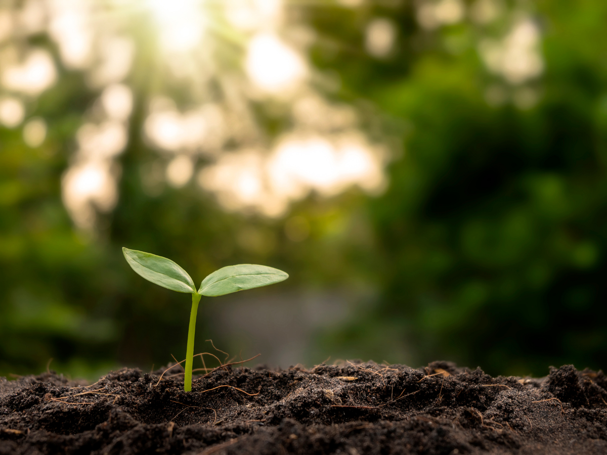 The Future of Sustainable Fire Safety