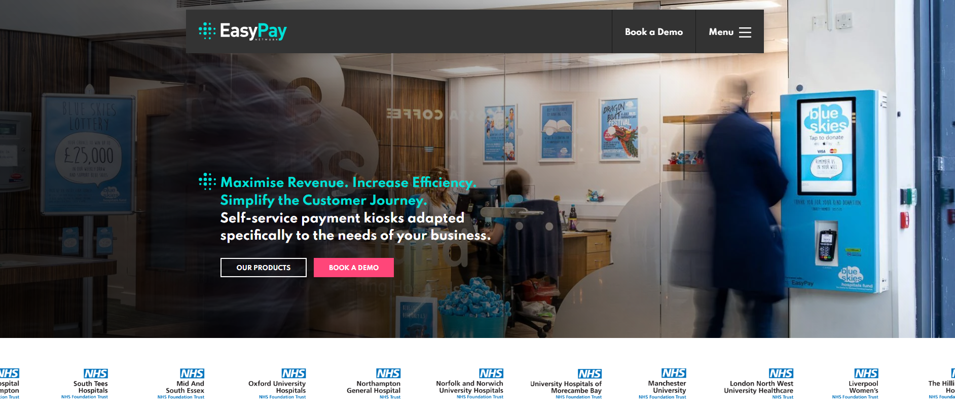 EasyPay Network Website Screenshot 001