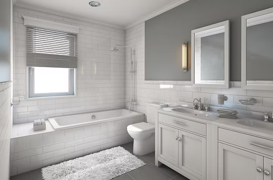 Washroom Hygiene & Disinfection Cleaning Solutions