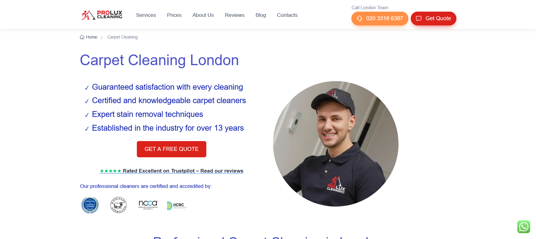 ProLux Cleaning Website Screenshot 001